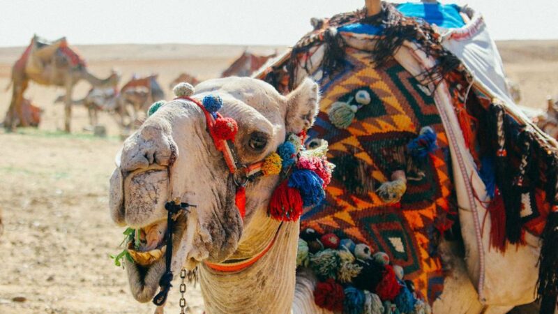 What to Pack for a Trip to Egypt