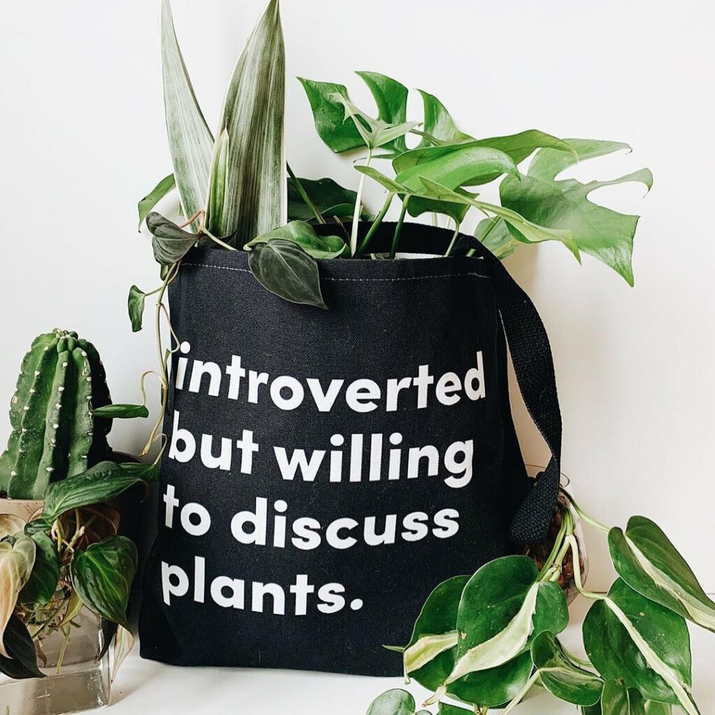 Gift Guide for the Plant Lover - The Fat Girls Guide