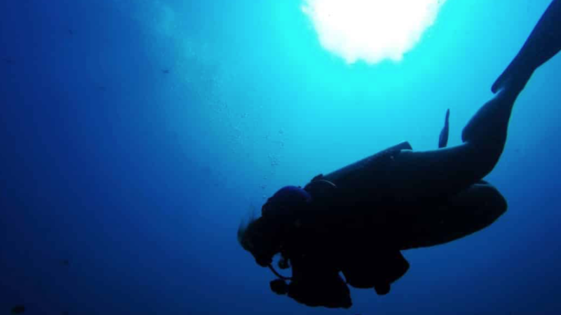 Fat Girls Diving: Changing the Narrative in the Scuba Industry