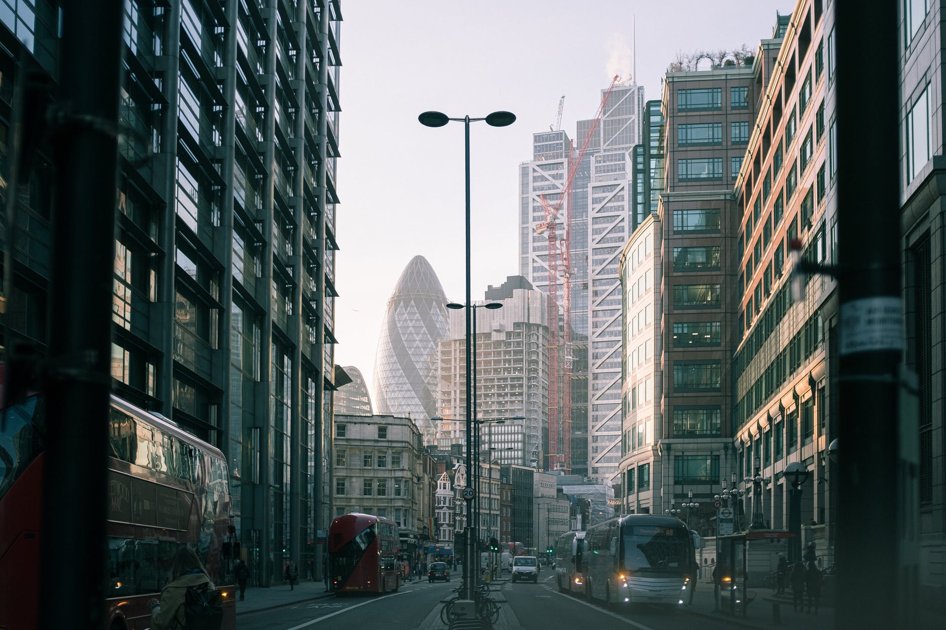 buses and cars on busy road