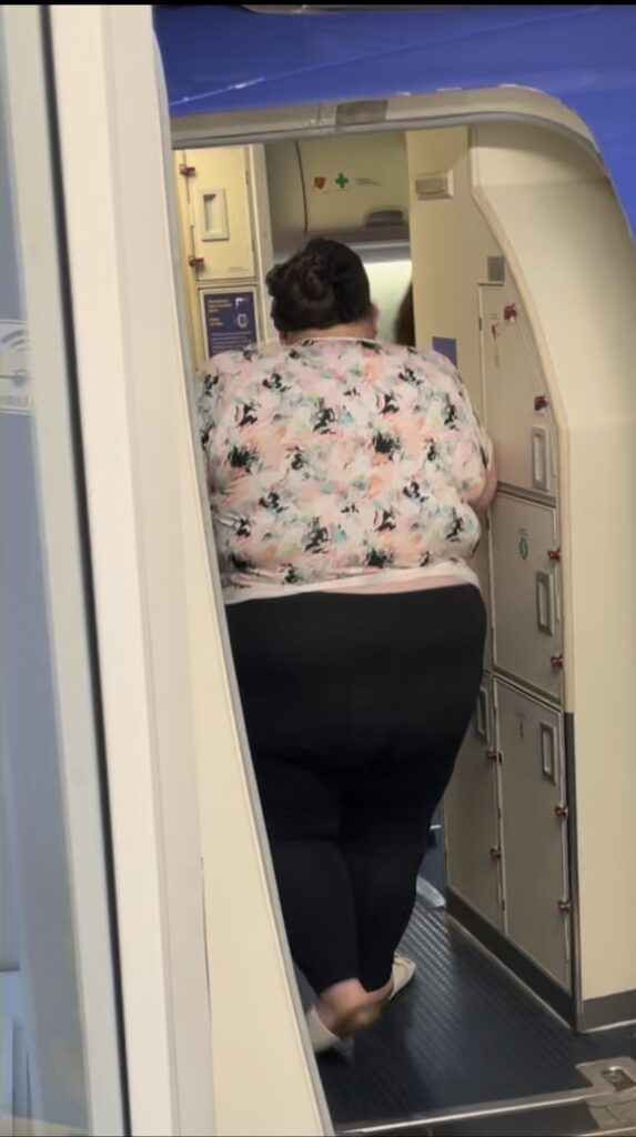 Navigating Southwest Airlines' Customer of Size Policy - The Fat Girls Guide