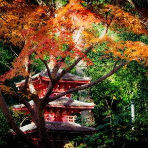Zodiac Guide to Japan: Tokyo + Kyoto Tour 2026